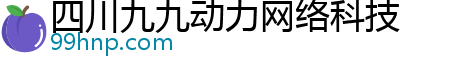 四川九九动力网络科技